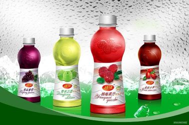 Food Stage Automatic Bottle Filling Machine Fruit Juice Hot Filling Line
